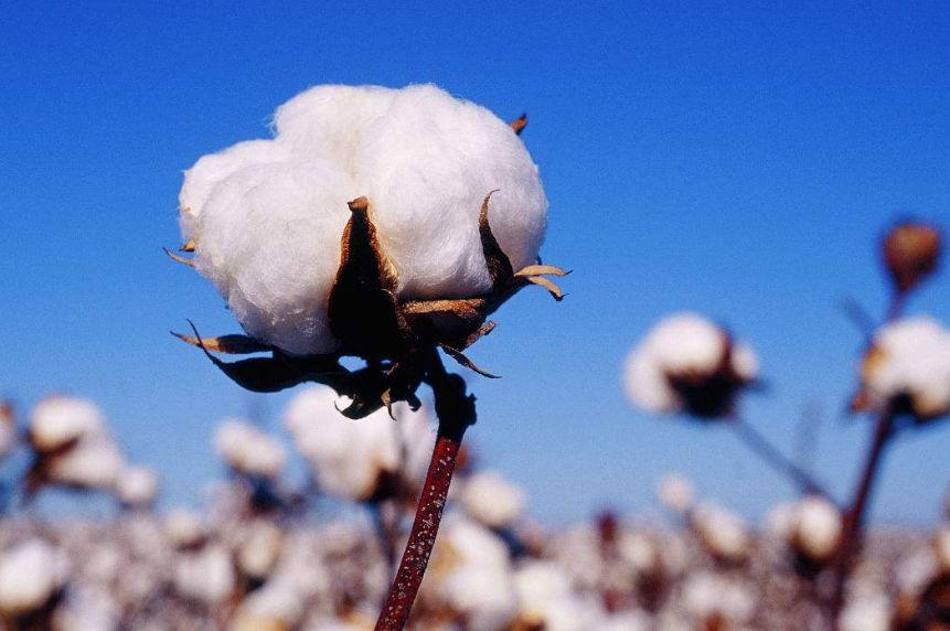 現(xiàn)已進入高質量發(fā)展階段的尼龍PA6行業(yè)